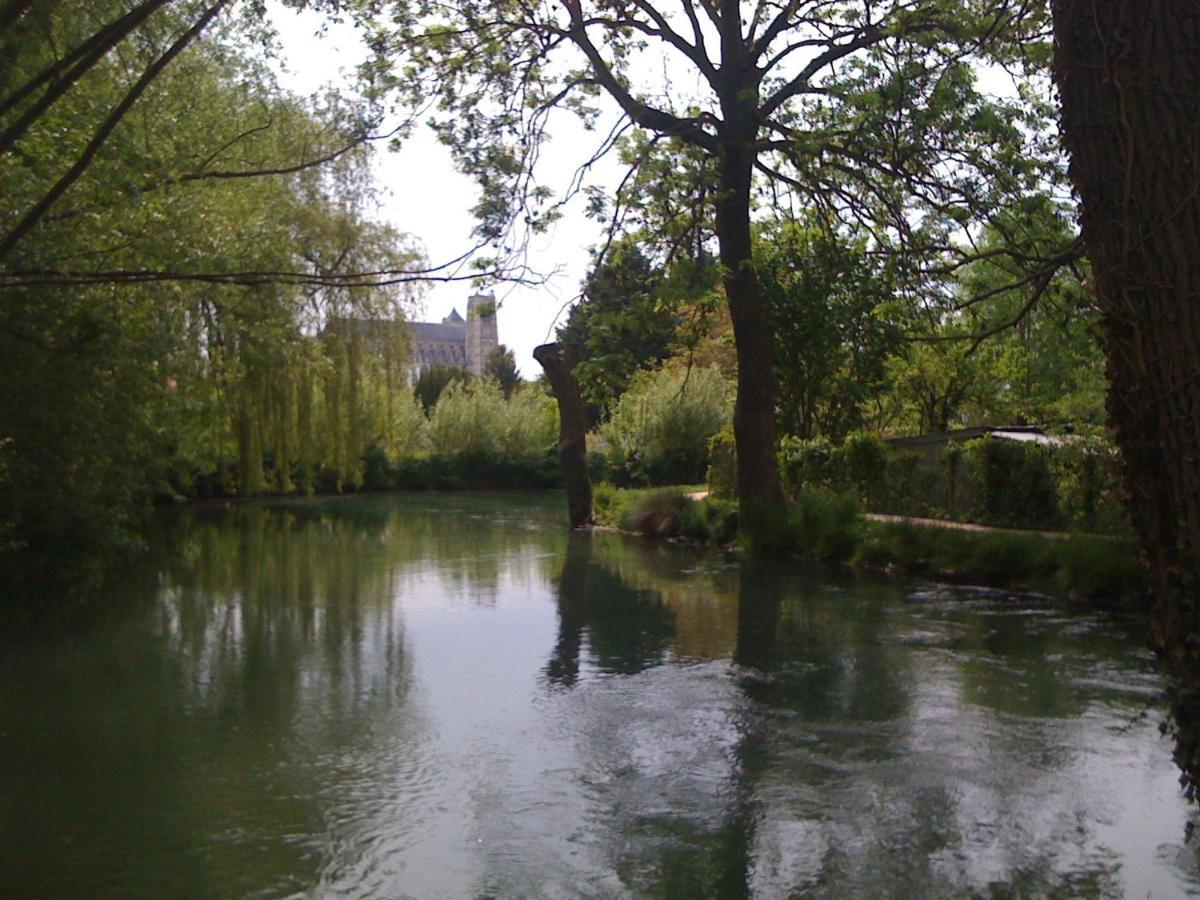 Les Volets Bleus - Refaits à neuf, deux appartements et un studio, Jardin Bourges Exterior foto