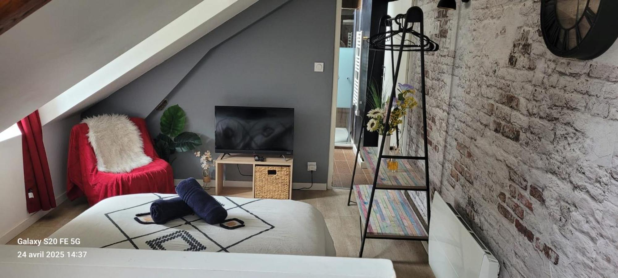 Les Volets Bleus - Refaits à neuf, deux appartements et un studio, Jardin Bourges Exterior foto