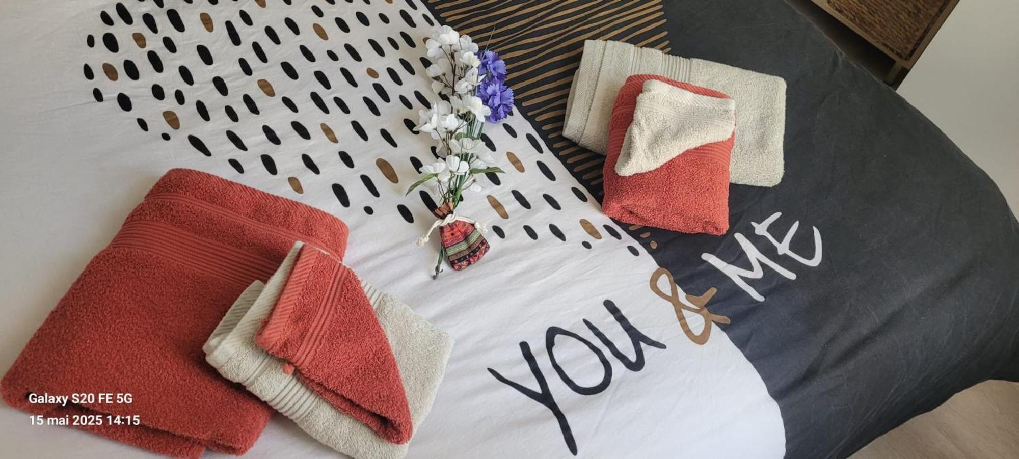 Les Volets Bleus - Refaits à neuf, deux appartements et un studio, Jardin Bourges Exterior foto