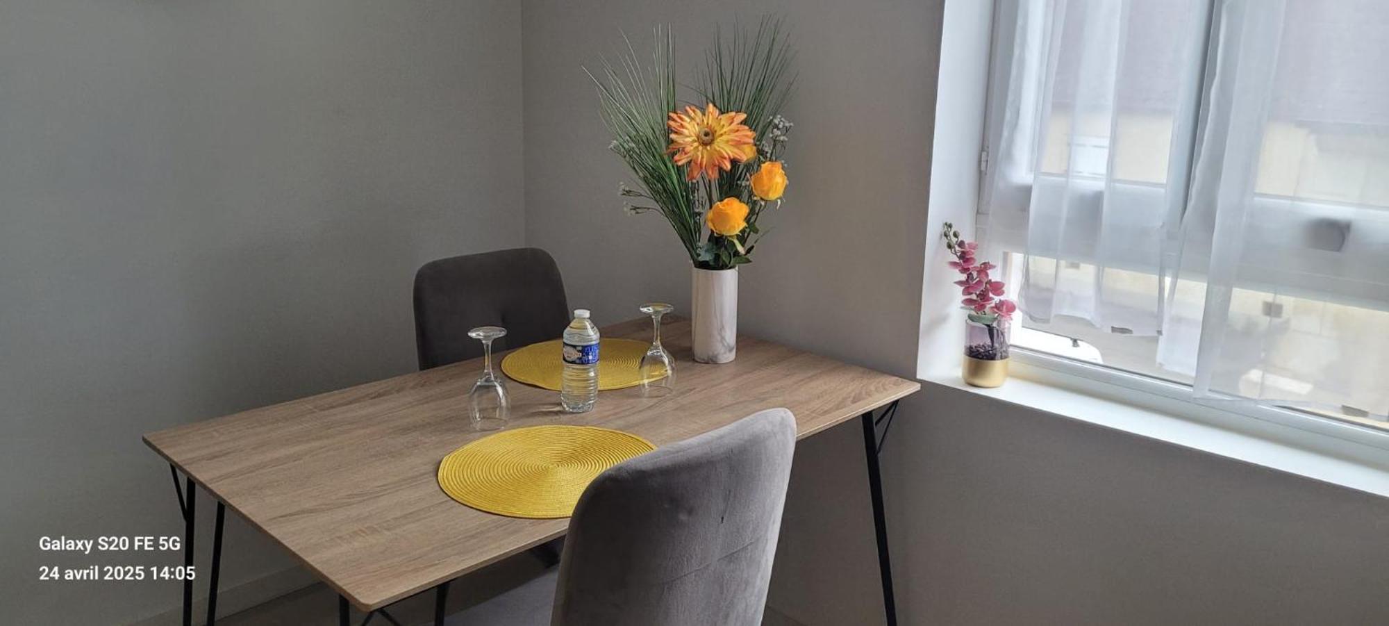 Les Volets Bleus - Refaits à neuf, deux appartements et un studio, Jardin Bourges Exterior foto